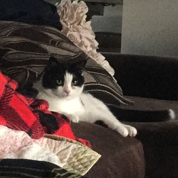 Meet your Posher, Amanda - Picture 1 of 1